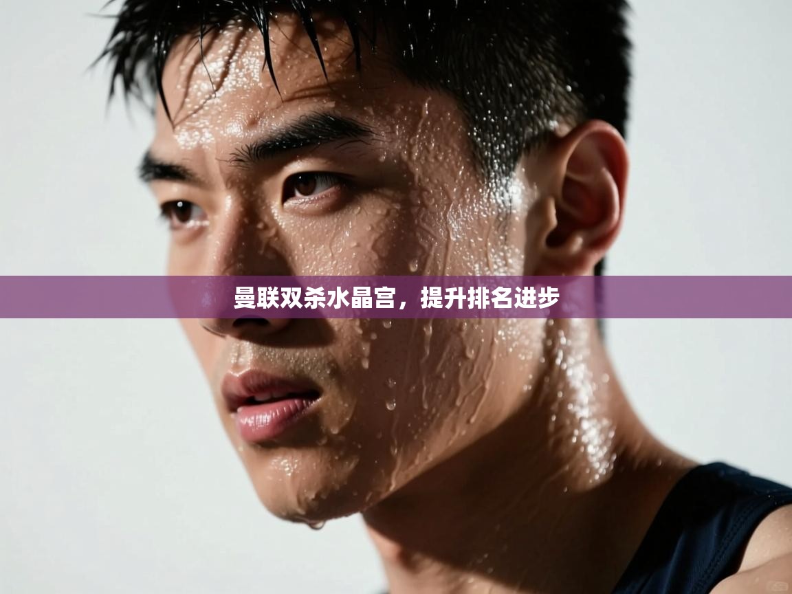 曼联双杀水晶宫，提升排名进步  第1张