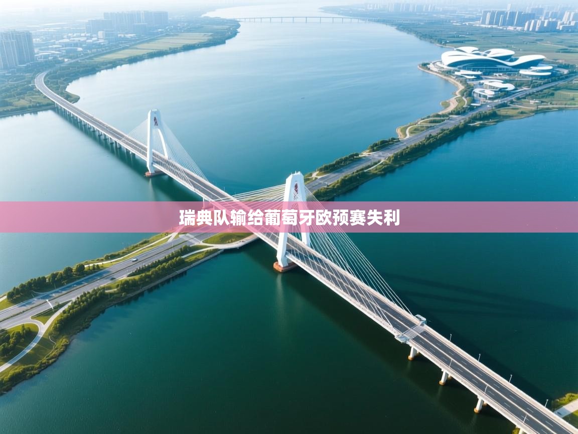 瑞典队输给葡萄牙欧预赛失利  第2张